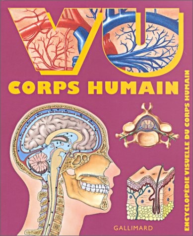 Vu corps humain