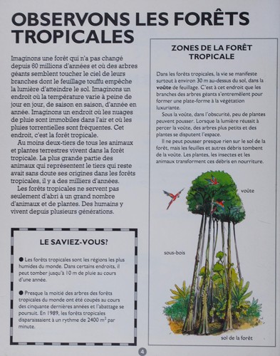 La vie dans les forets tropicales