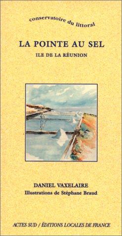 La pointe au sel